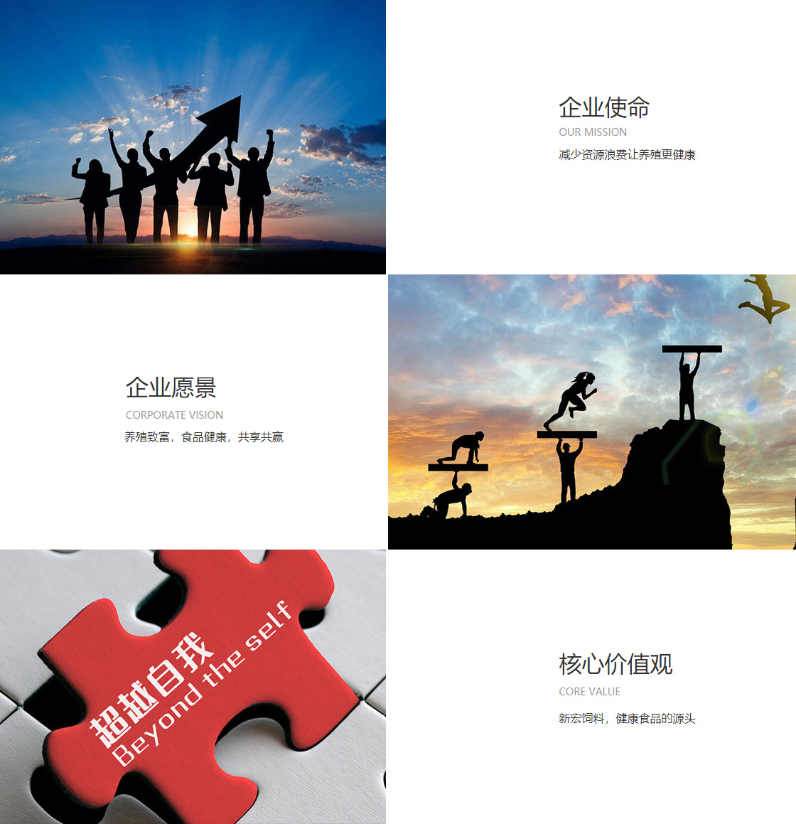 ob视讯官网(图1)